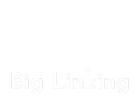 Big Linking Logo